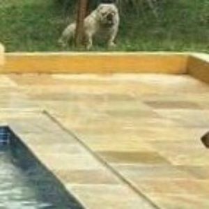 Meet your Posher, Steven